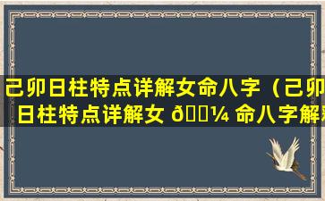 己卯日柱特点详解女命八字（己卯日柱特点详解女 🐼 命八字解释）